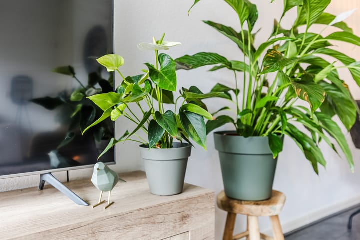 Foto 17 van Willem Gertenbachstraat 98