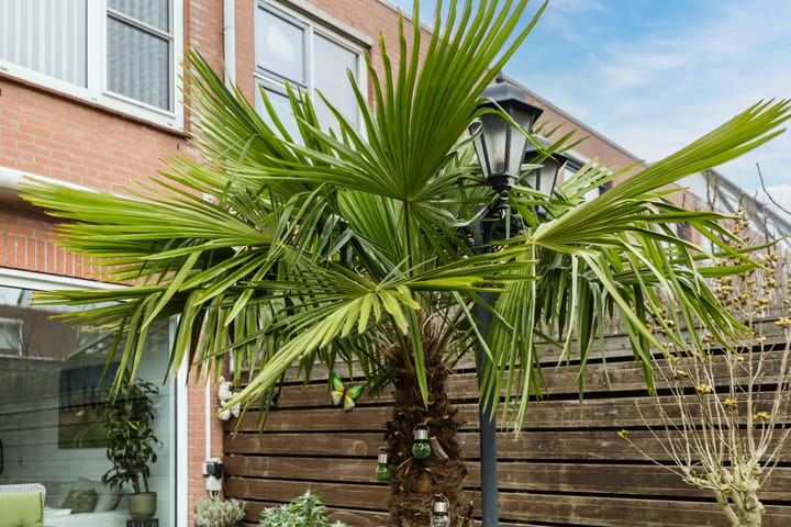 Foto 47 van Willem Gertenbachstraat 98