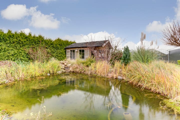 Foto 35 van Langstraat 46