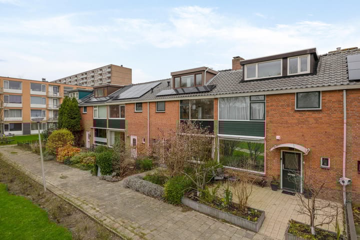 Foto 6 van Strobloempad 6