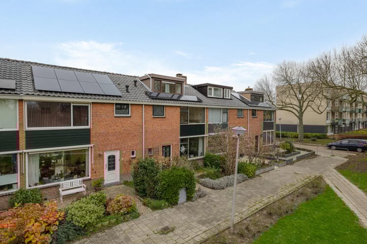 Foto 7 van Strobloempad 6