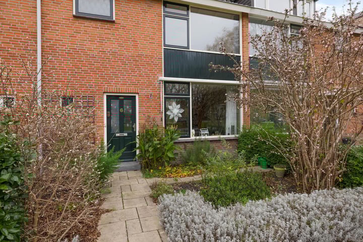 Foto 8 van Strobloempad 6