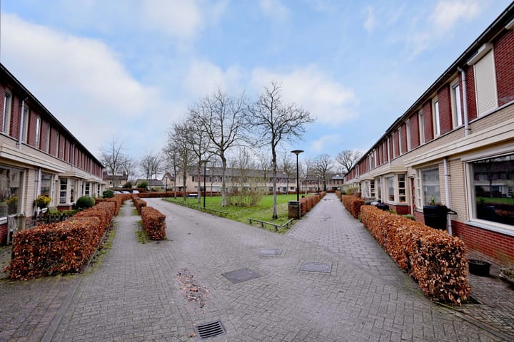 Foto 36 van Lauweriksplein 20