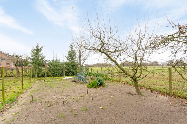 Foto 52 van Haffertsestraat 35