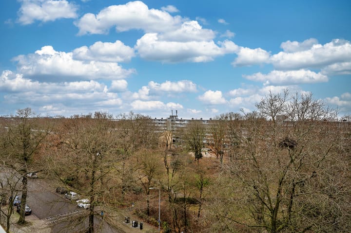 Foto 38 van Albert Cuypstraat 316