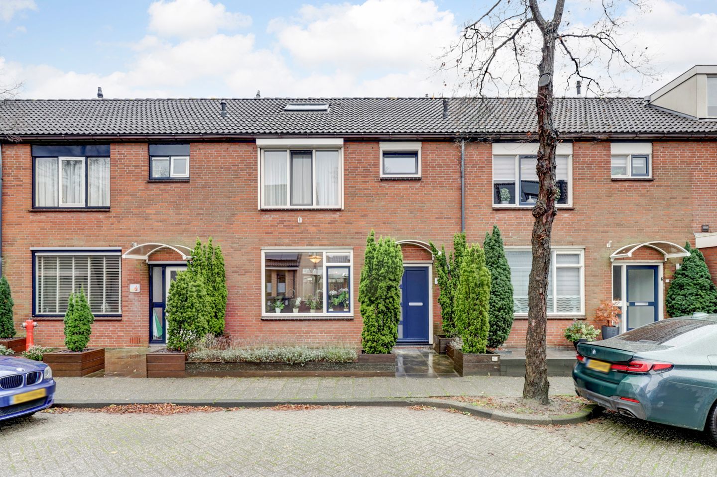 Foto 1 van Anthurium 34