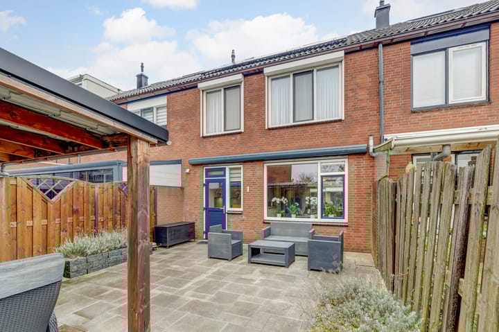 Foto 2 van Anthurium 34