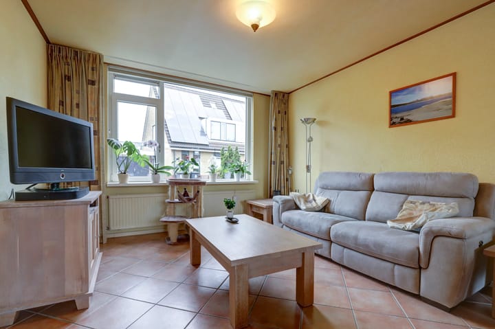 Foto 4 van Anthurium 34