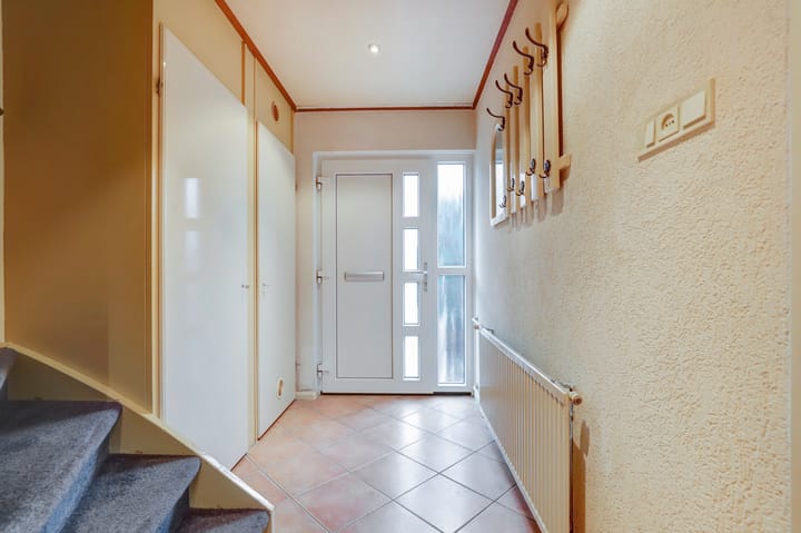 Foto 7 van Anthurium 34