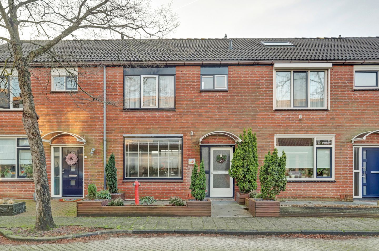 Foto 1 van Anthurium 36