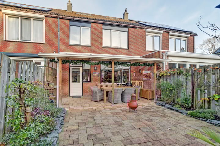 Foto 2 van Anthurium 36