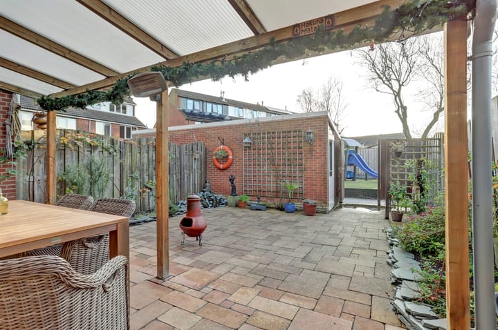 Foto 3 van Anthurium 36