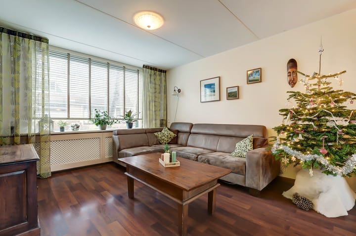 Foto 4 van Anthurium 36