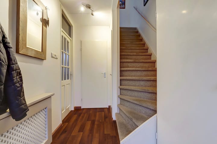 Foto 7 van Anthurium 36