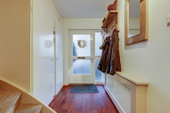 Foto 8 van Anthurium 36