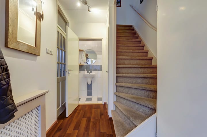 Foto 9 van Anthurium 36