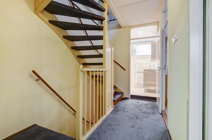 Foto 19 van Anthurium 34