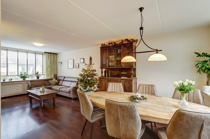 Foto 13 van Anthurium 36