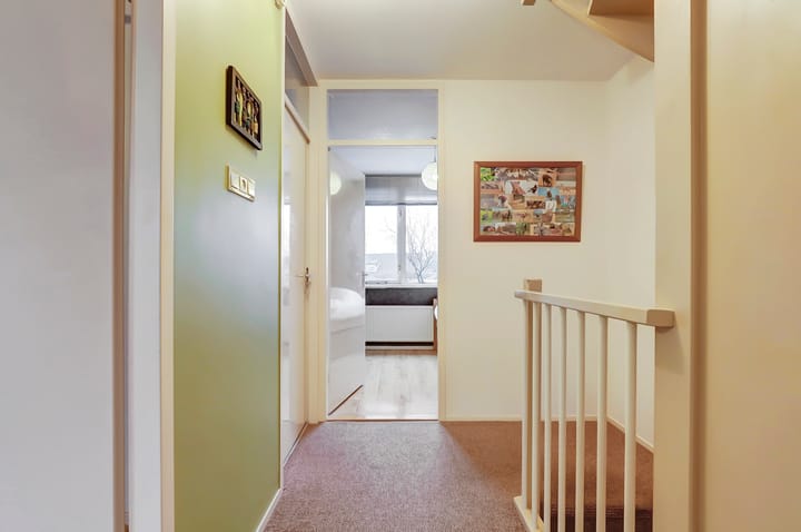 Foto 16 van Anthurium 36