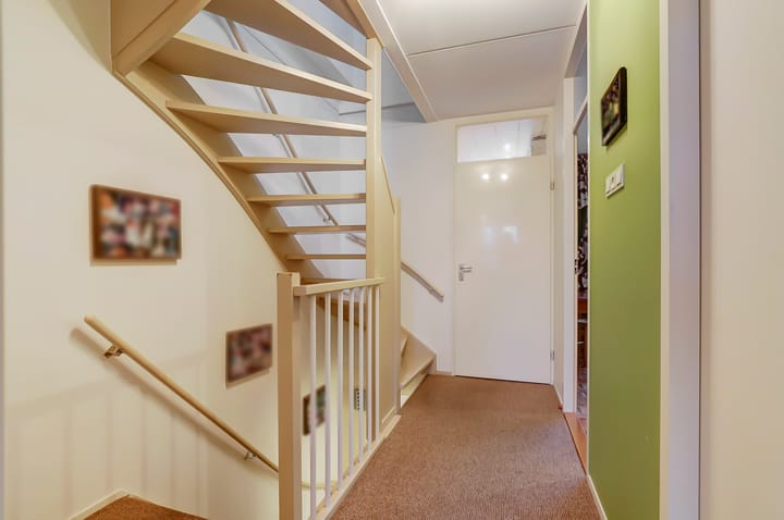 Foto 17 van Anthurium 36