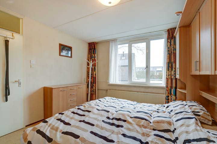 Foto 23 van Anthurium 34