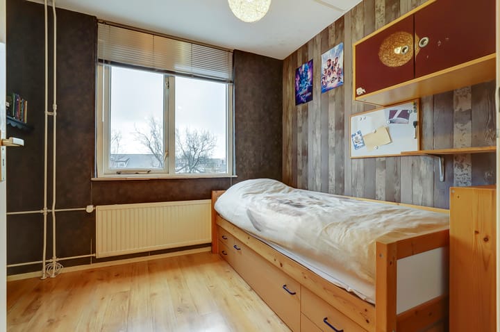 Foto 20 van Anthurium 36