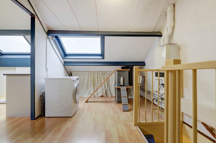 Foto 30 van Anthurium 34