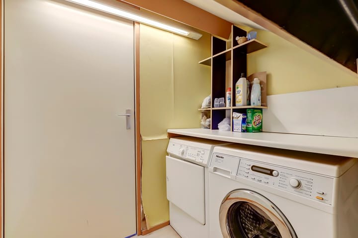 Foto 26 van Anthurium 36