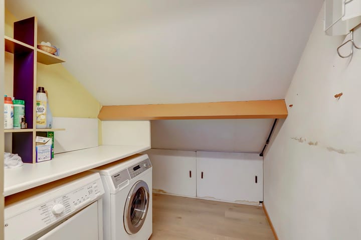 Foto 27 van Anthurium 36