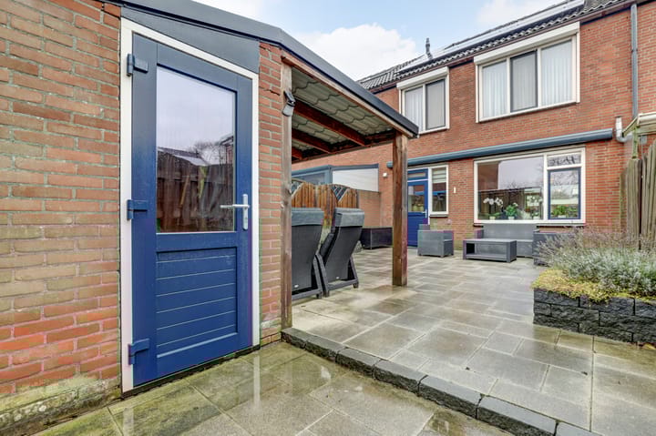 Foto 37 van Anthurium 34