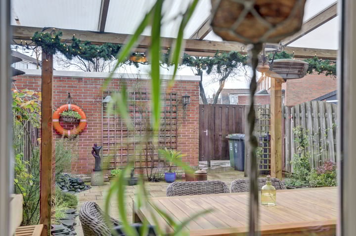 Foto 33 van Anthurium 36