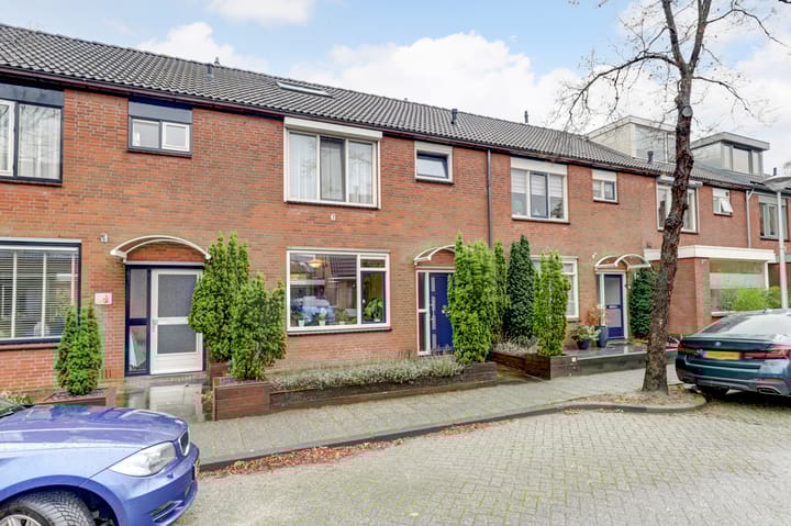 Foto 38 van Anthurium 34