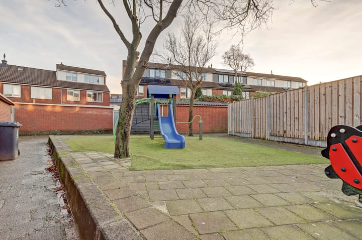 Foto 34 van Anthurium 36