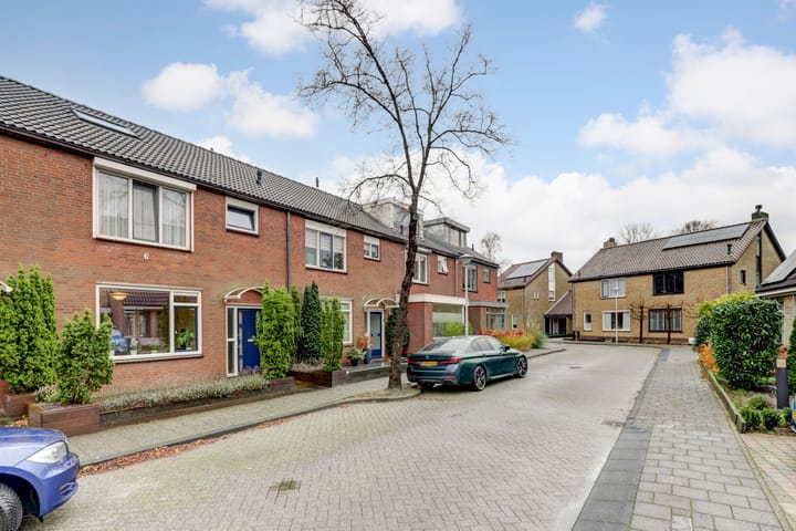 Foto 39 van Anthurium 34