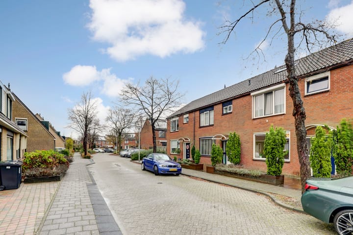 Foto 40 van Anthurium 34