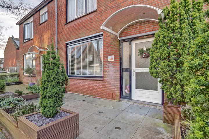 Foto 37 van Anthurium 36