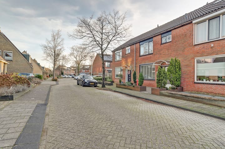 Foto 38 van Anthurium 36