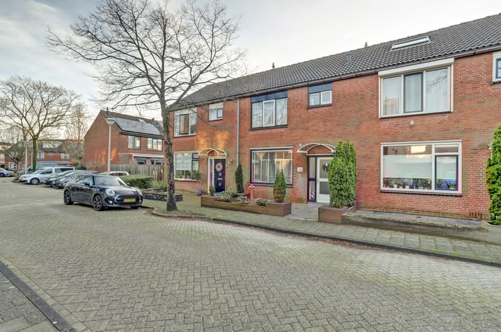 Foto 39 van Anthurium 36