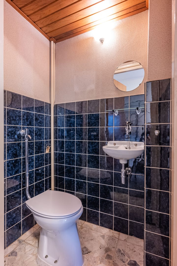 Foto 3 van Ganzeweide 158