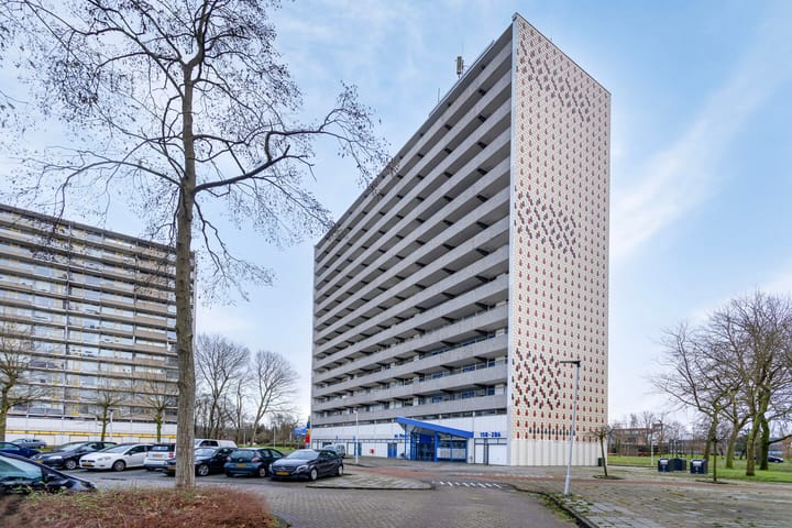 Foto 5 van Tjaarda 214