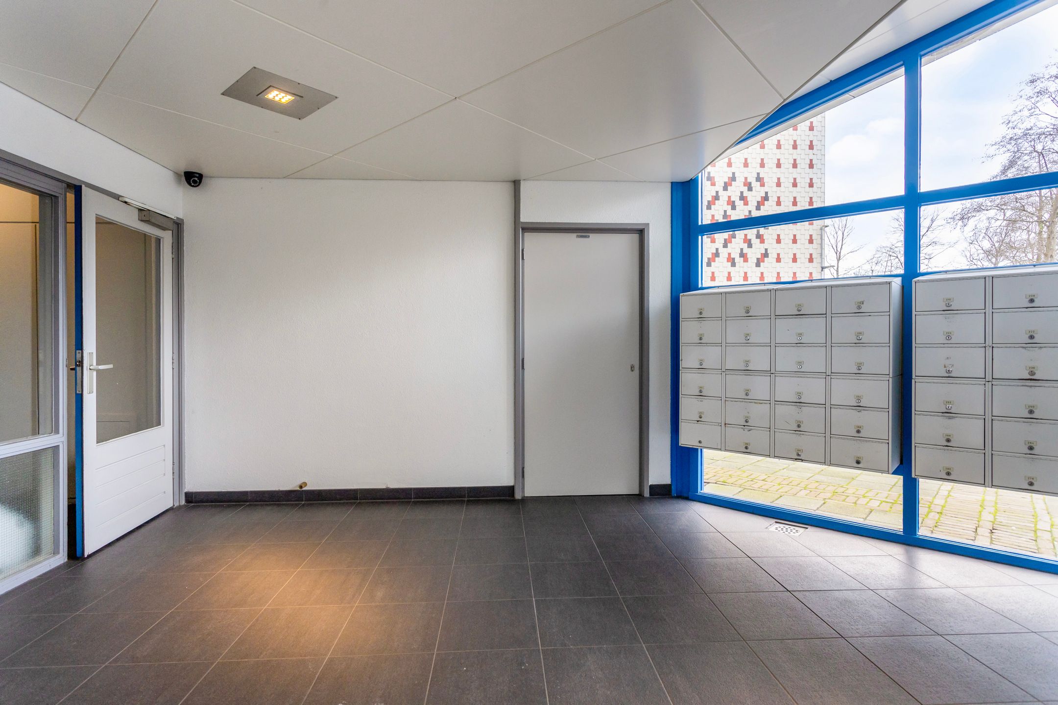 Photo 9 of Tjaarda 214