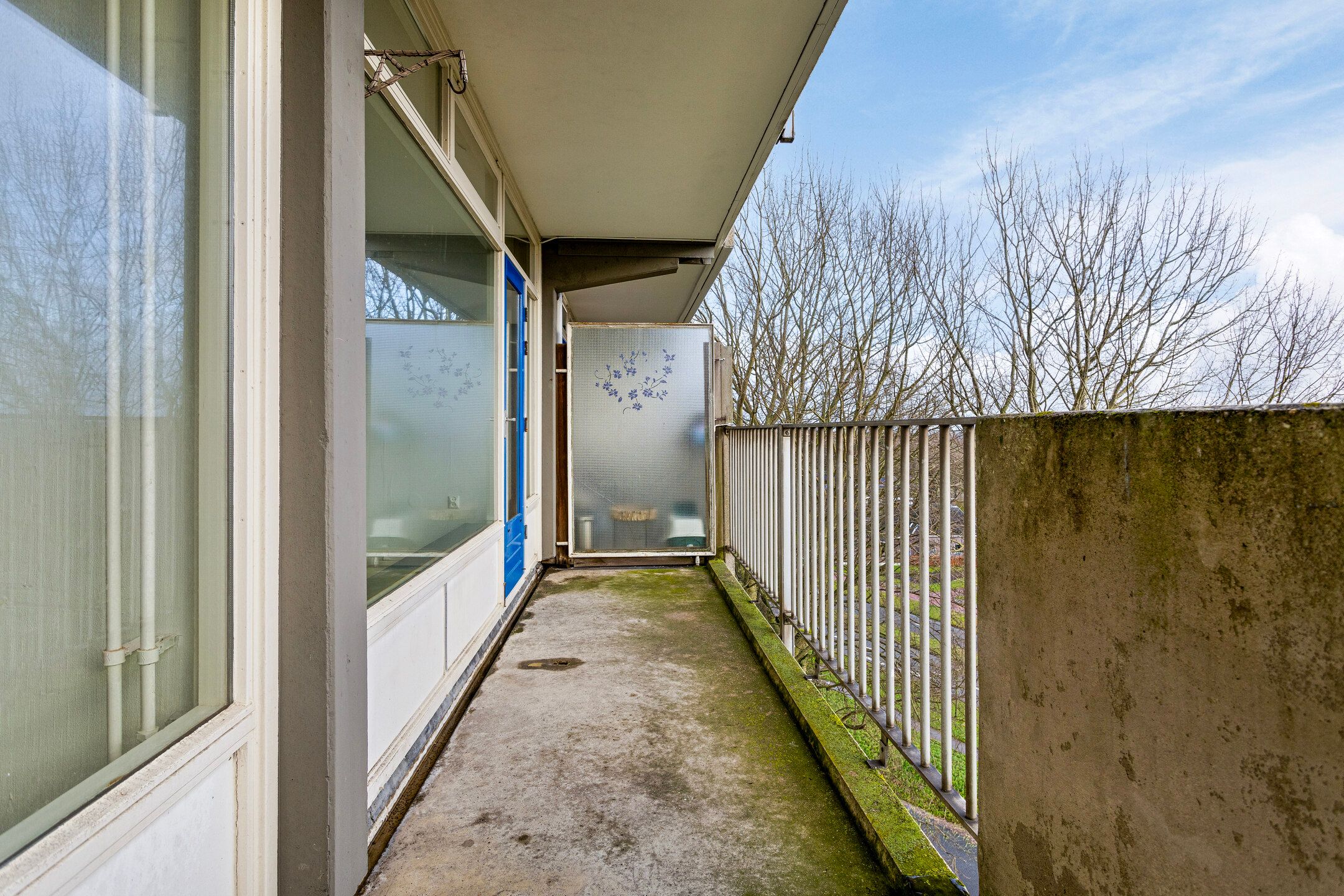 Photo 30 of Tjaarda 214