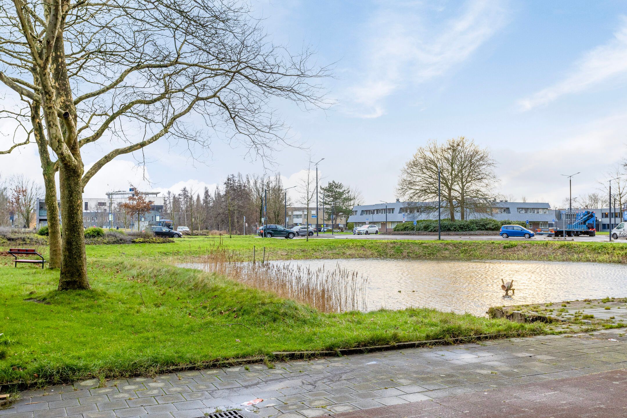 Photo 36 of Tjaarda 214