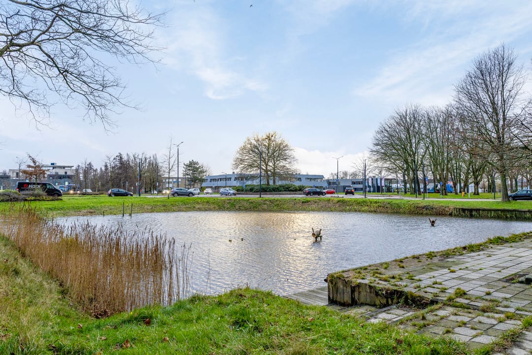 Photo 37 of Tjaarda 214