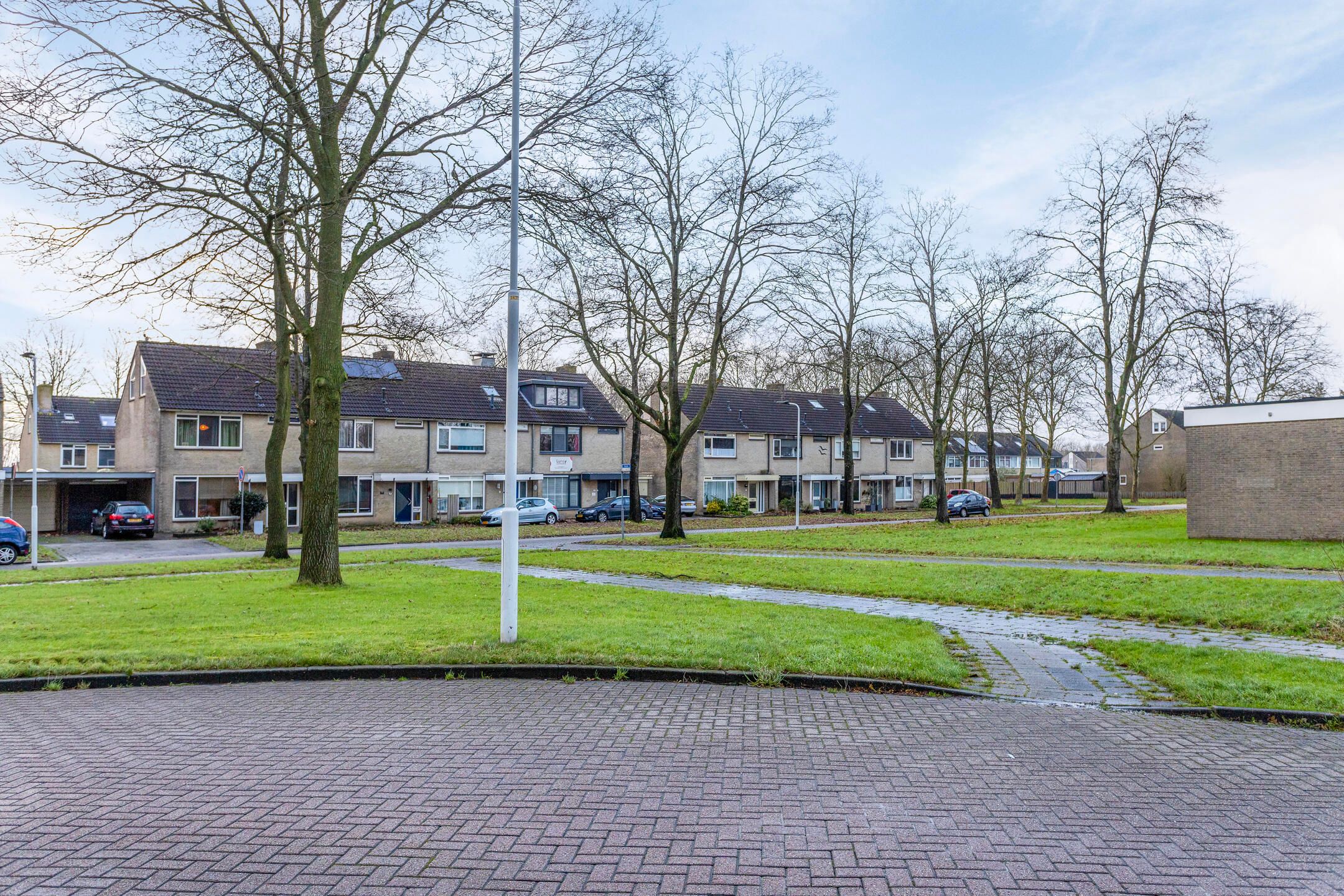 Photo 39 of Tjaarda 214