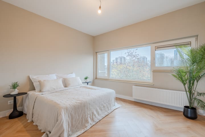 Foto 23 van Julianaplantsoen 216