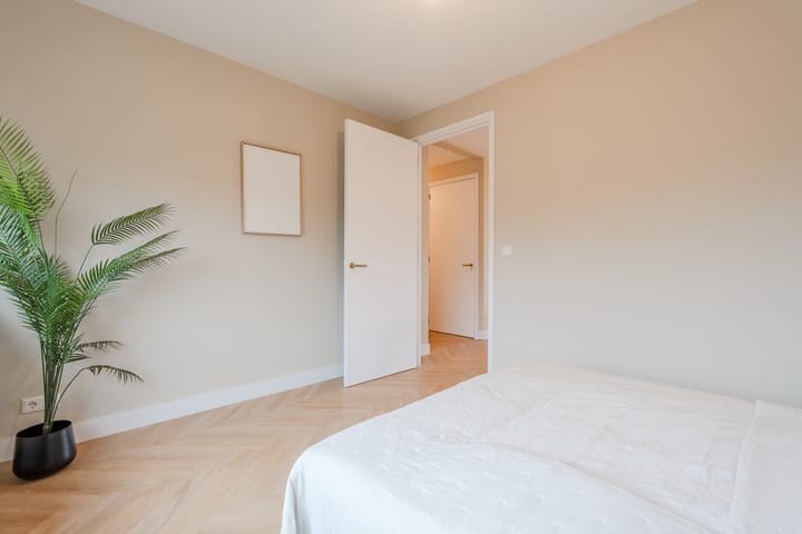 Foto 25 van Julianaplantsoen 216