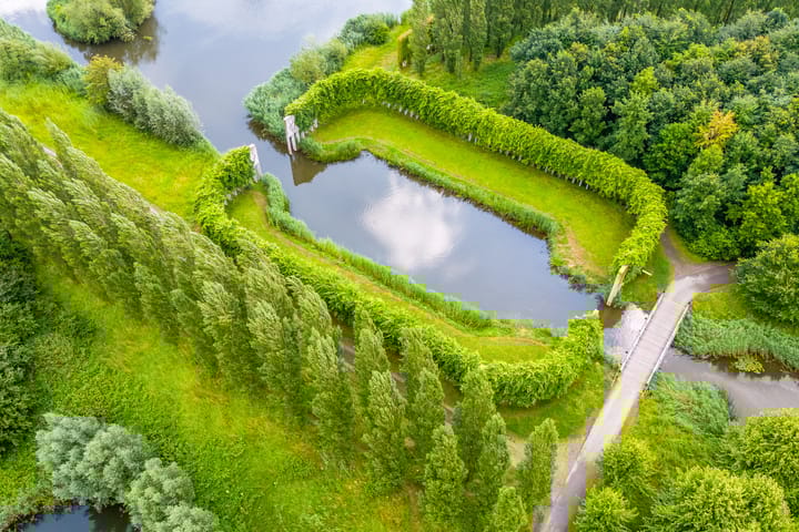 Foto 76 van César Domelahof 21