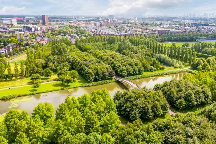 Foto 77 van César Domelahof 21