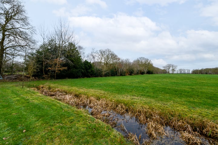 Bekijk foto 37 van Schoterlandseweg 12